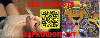прущие грибы Гагарин