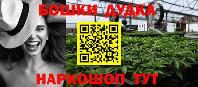 мдпв Гай
