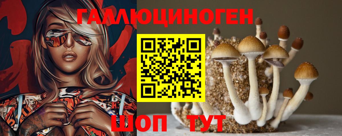 Россия  Галлюциногенные грибы ЛСД  Вход с VPN  Псилоцибиновые грибы Psilocybe 