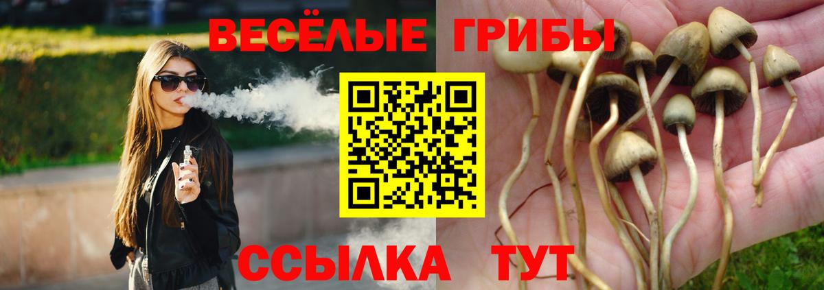 Псилоцибиновые грибы Cubensis Россия